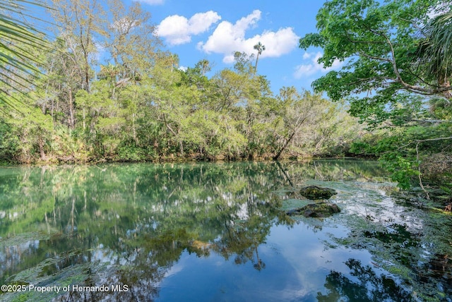 property view of water