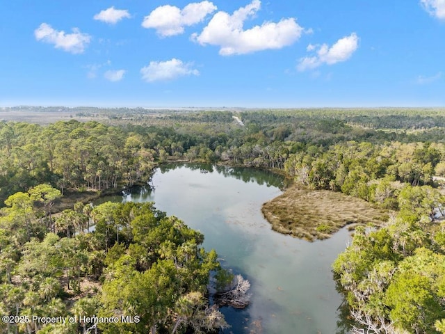 bird's eye view featuring a forest view and a water view