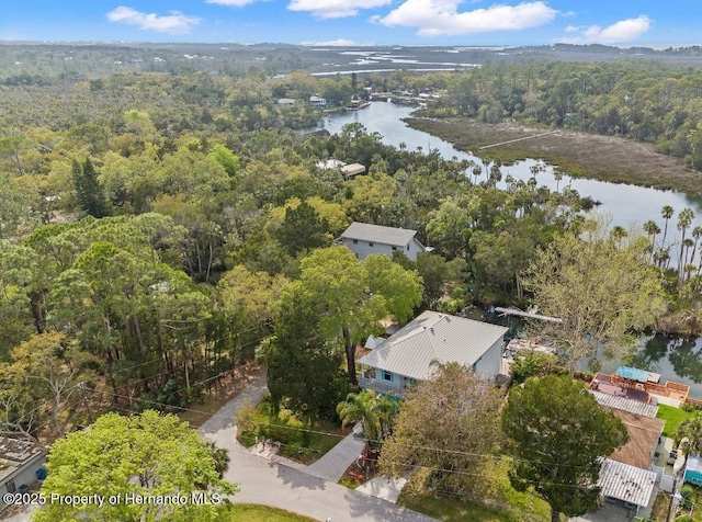 birds eye view of property featuring a water view and a forest view