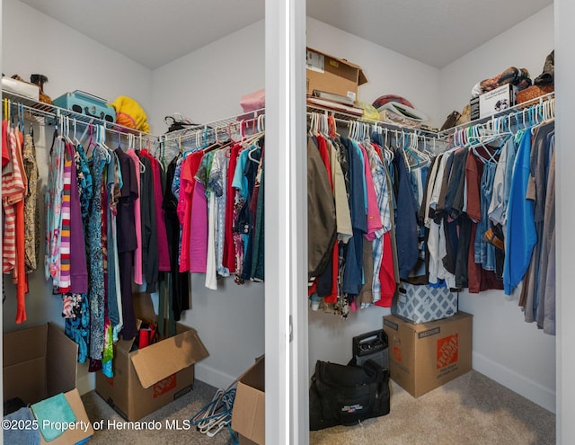 view of walk in closet