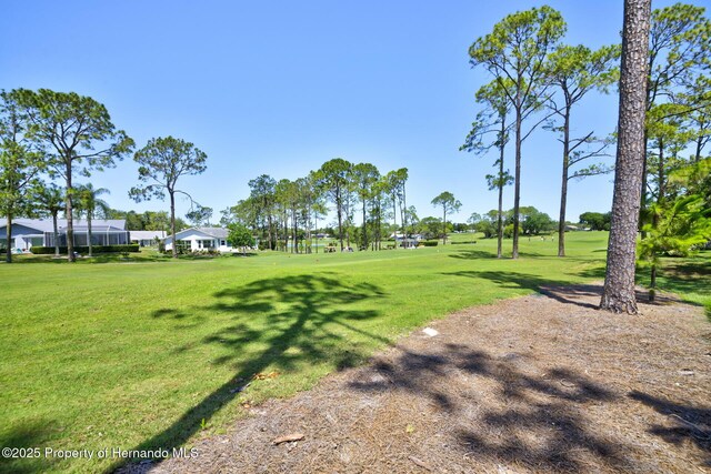 view of community with a lawn