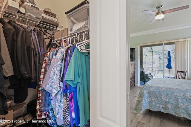 walk in closet featuring a ceiling fan and wood finished floors