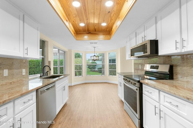 kitchen with a sink, stainless steel appliances, a raised ceiling, and white cabinets