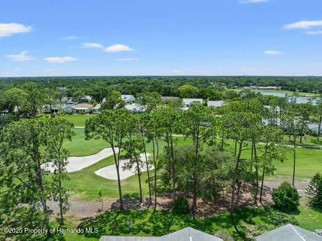 view of community featuring view of golf course