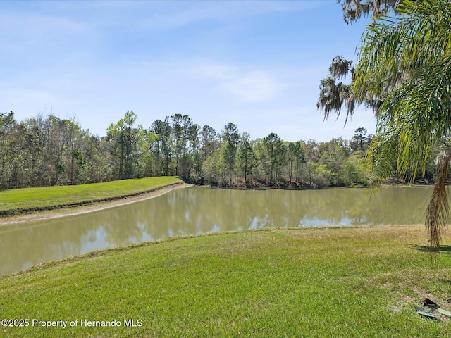 property view of water