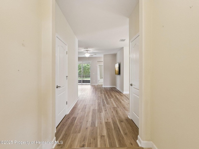 19403 Fort King, Brooksville, FL 34601 - photo 4