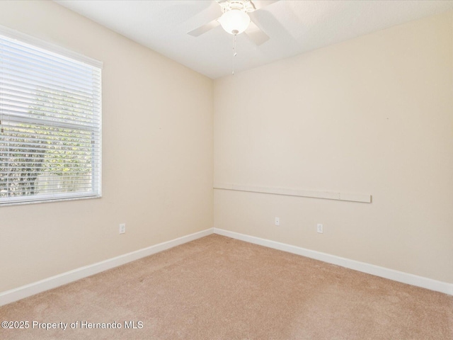 19403 Fort King, Brooksville, FL 34601 - photo 29