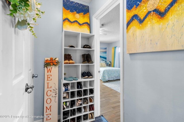 walk in closet featuring wood finished floors