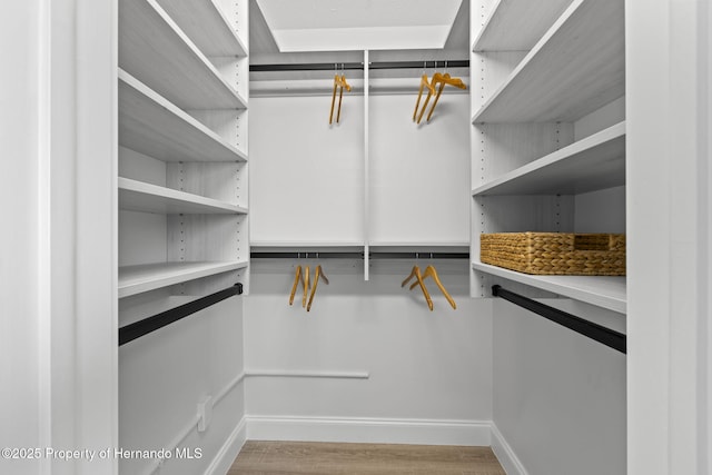 walk in closet featuring light wood-style floors