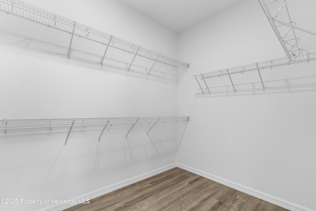 walk in closet featuring wood finished floors