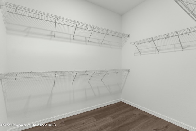 walk in closet with dark wood-type flooring