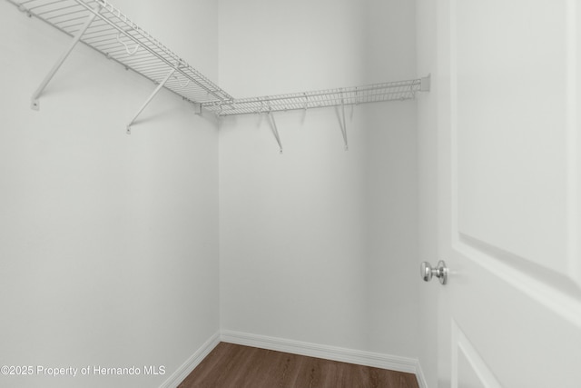 spacious closet featuring wood finished floors