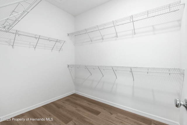 spacious closet featuring wood finished floors