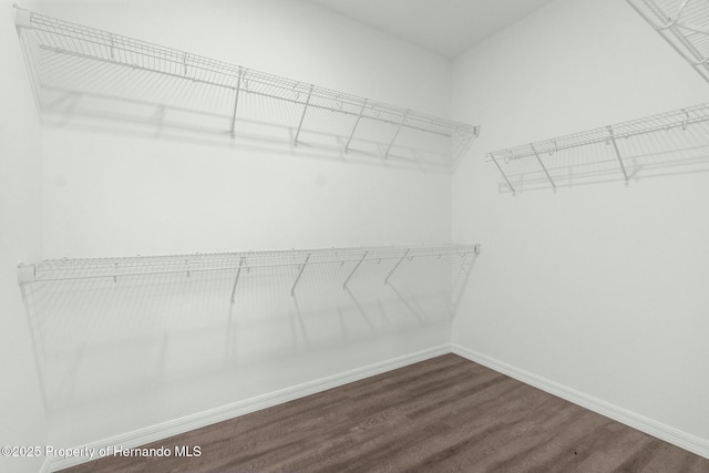 walk in closet featuring wood finished floors