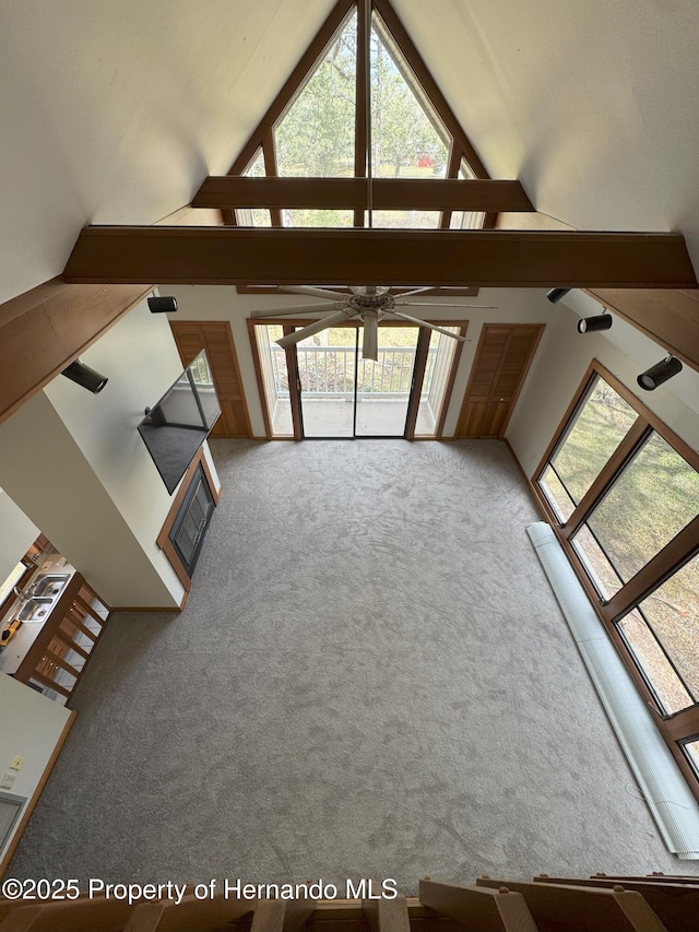 bonus room featuring carpet and high vaulted ceiling