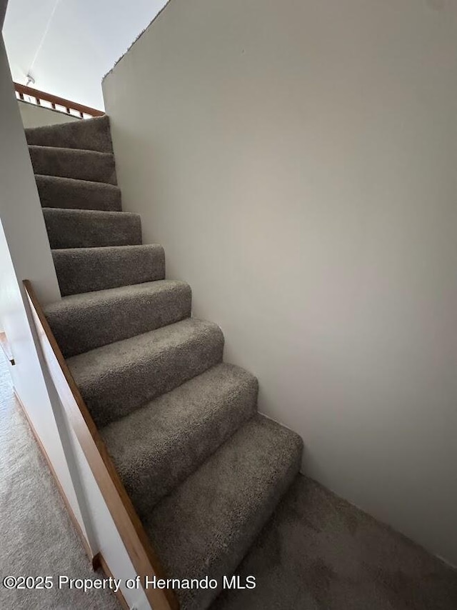 staircase featuring carpet