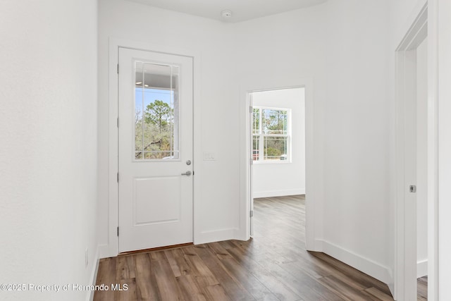 foyer entrance featuring baseboards and wood finished floors