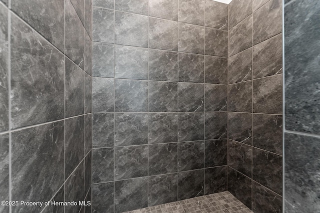 interior details featuring a tile shower