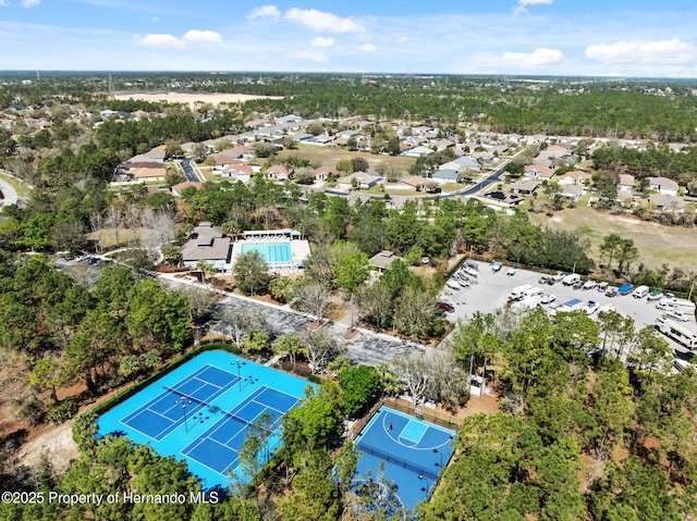 bird's eye view