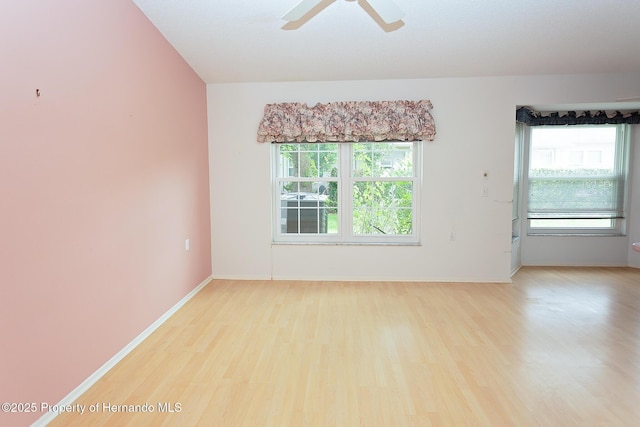 7441 Baywood Forest Cir, Spring Hill, FL 34606 - photo 18