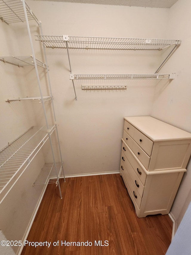 7106 Green Abbey Way, Spring Hill, FL 34606 - walk in closet with wood finished floors