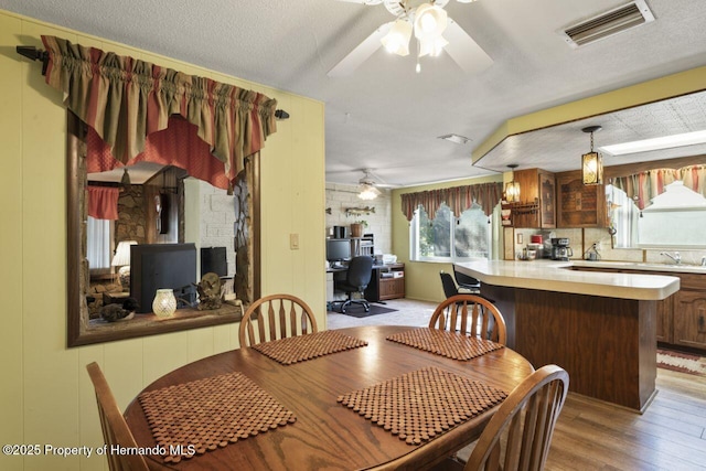 dining room with light wood-style floors, ceiling fan, visible vents, and a textured ceiling