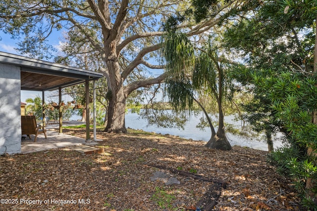 view of yard with a patio area and a water view