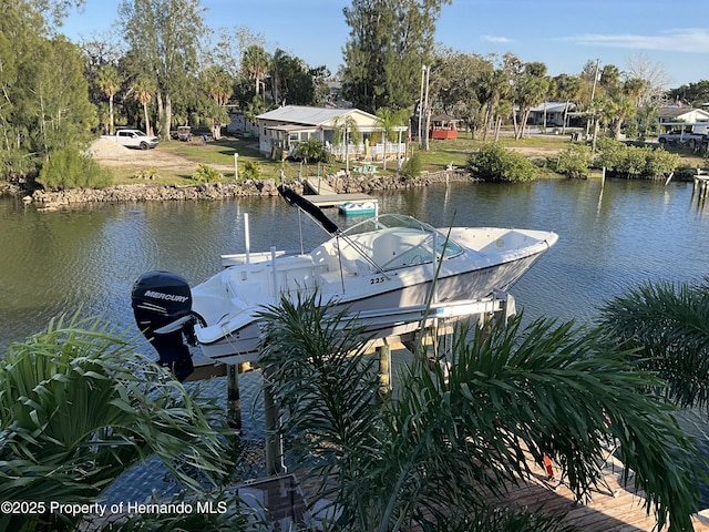 dock area with a water view