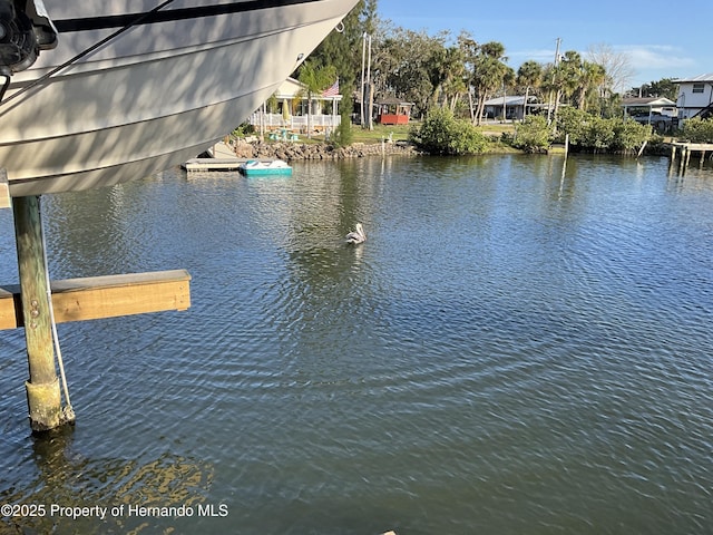 water view with a dock