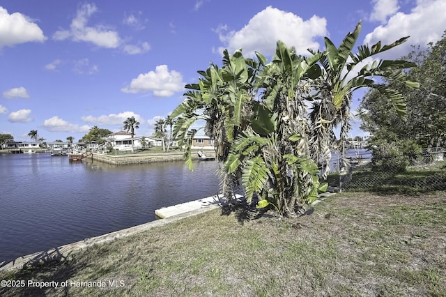 12527 1st Isle, Hudson, FL 34667 - photo 60