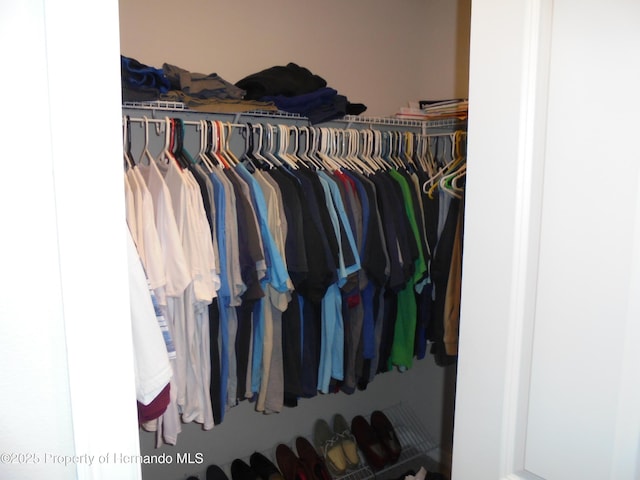 view of closet