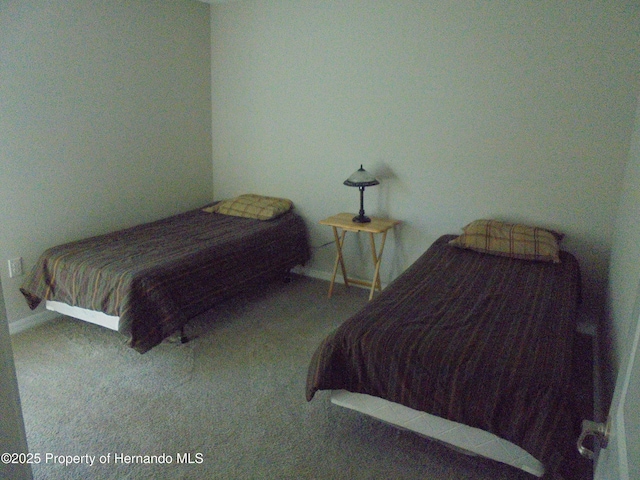 bedroom featuring carpet floors