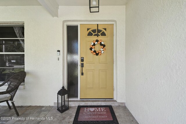 9142 Brooker Dr, New Port Richey, FL 34655 - photo 4