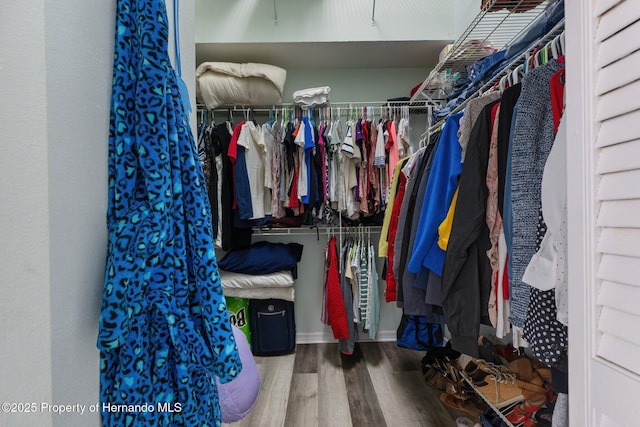 walk in closet with wood finished floors