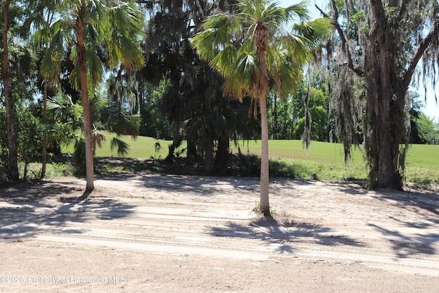 view of surrounding community