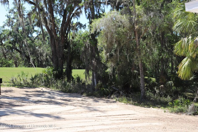 view of road