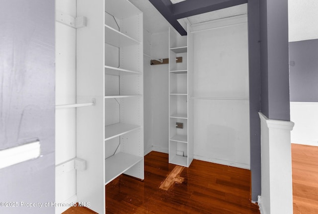 walk in closet with wood finished floors