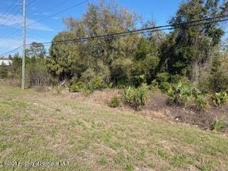 7092 Commercial Way, Weeki Wachee FL, 34613 land for sale