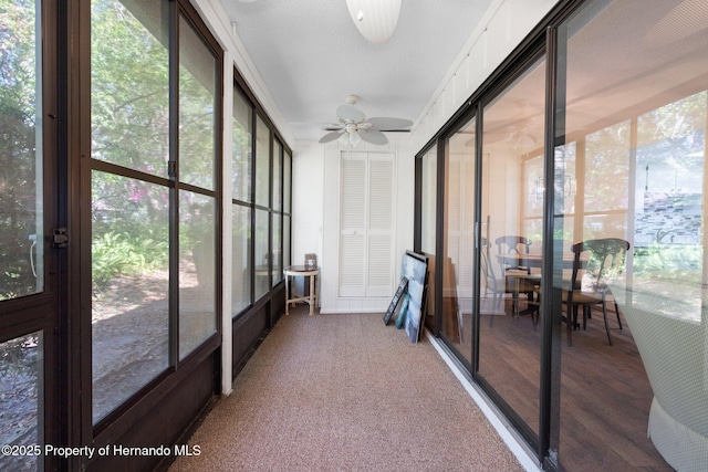 sunroom with ceiling fan