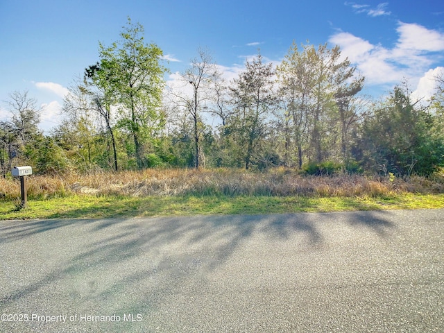 0 Maripoe Rd, Weeki Wachee FL, 34614 land for sale