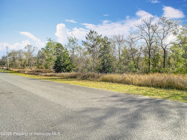 Listing photo 2 for 0 Maripoe Rd, Weeki Wachee FL 34614