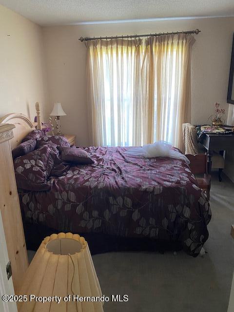 bedroom with carpet, multiple windows, and a textured ceiling