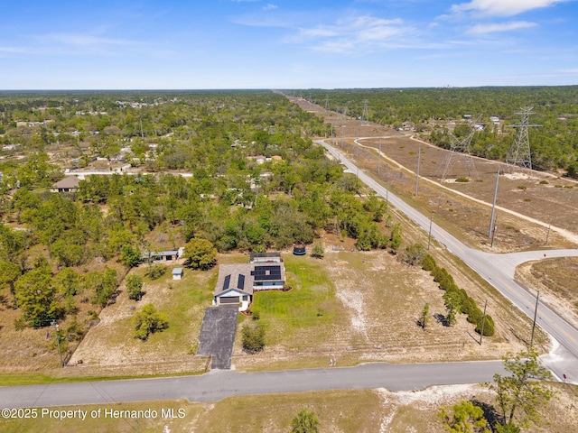 13415 Ester Dr, Brooksville, FL 34613 - birds eye view of property