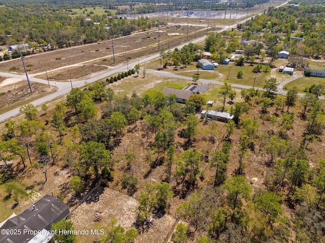 13415 Ester Dr, Brooksville, FL 34613 - aerial view