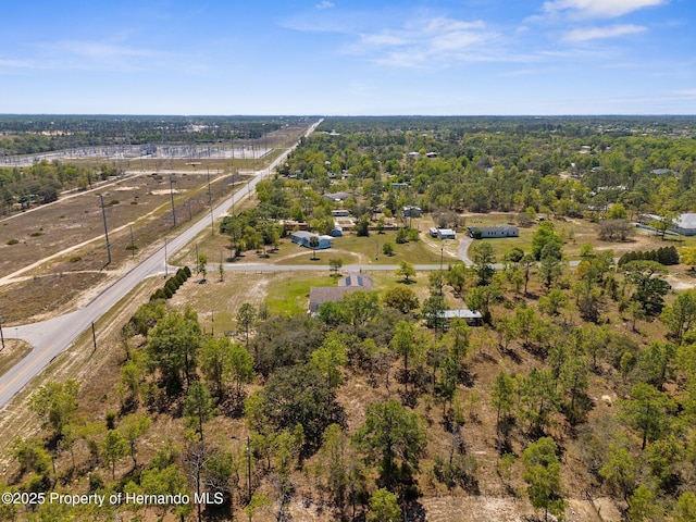 13415 Ester Dr, Brooksville, FL 34613 - drone / aerial view