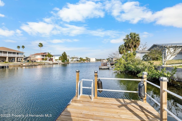 dock area with a water view