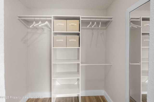 spacious closet with wood finished floors