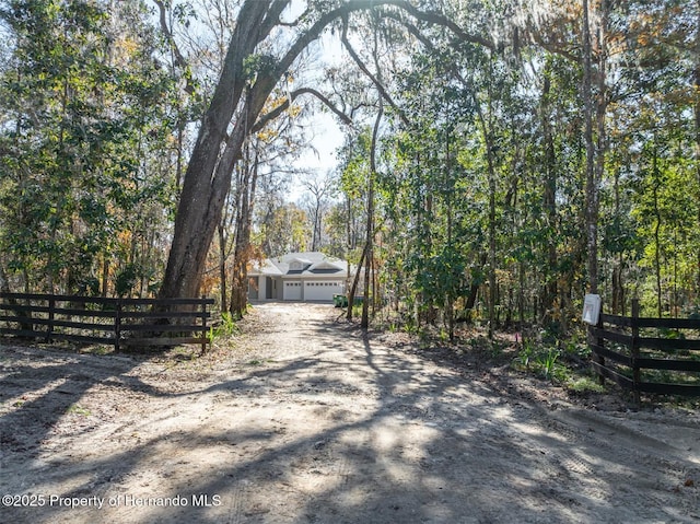 view of road with dirt driveway