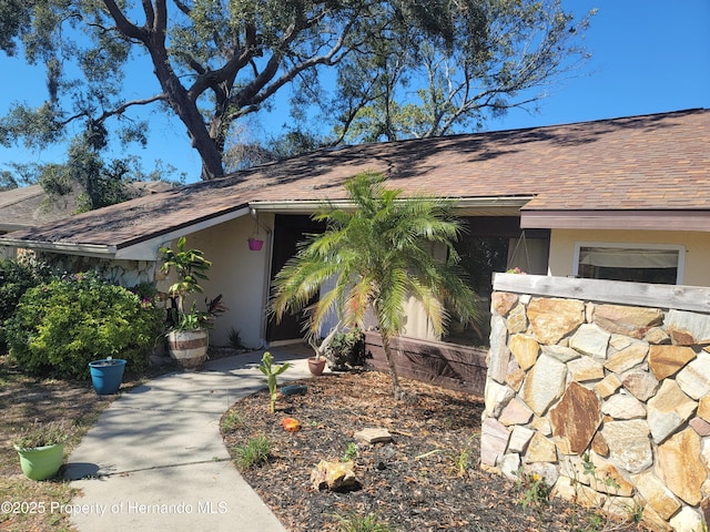 doorway to property featuring a shingled roof and stucco siding