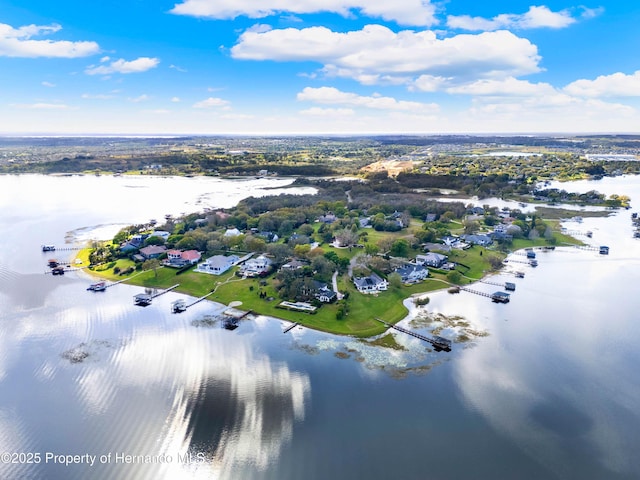 17416 Magnolia Island Blvd, Clermont, FL 34711 - aerial view of a large body of water